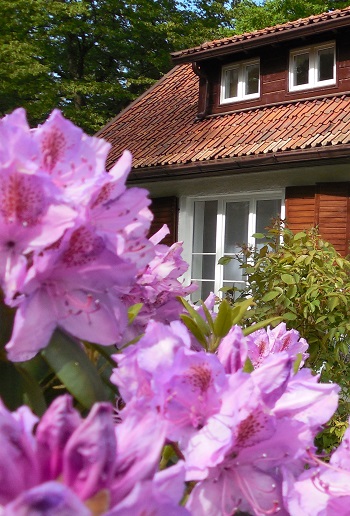 Поздравляем и приглашаем!