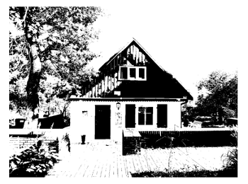 "Искусство чёрно-белого"