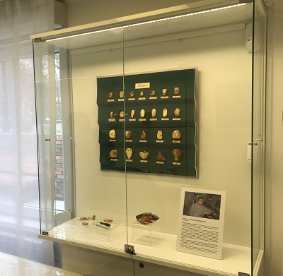 "СОЛНЕЧНЫЕ ГЕММЫ"