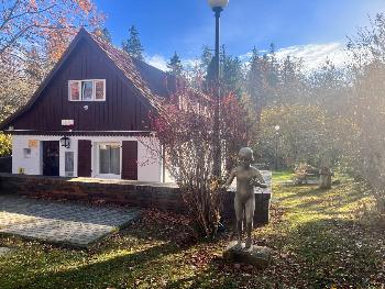 Изменение в режиме работы Дома-музея Германа Брахерта 7 ноября