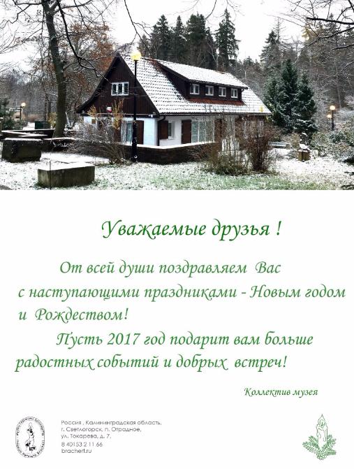 С наступающим Новым 2017 годом и Рождеством !