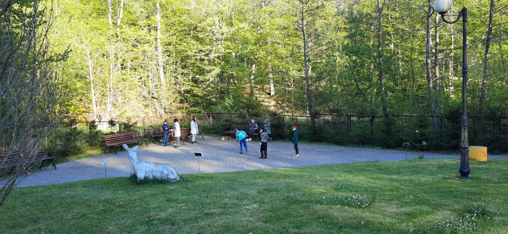20210515_184728.jpg