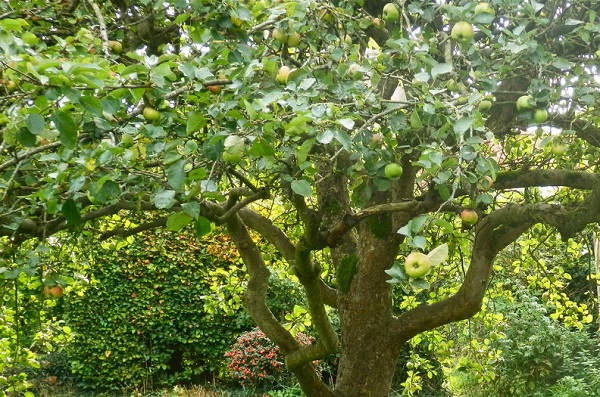 s1200.jpg