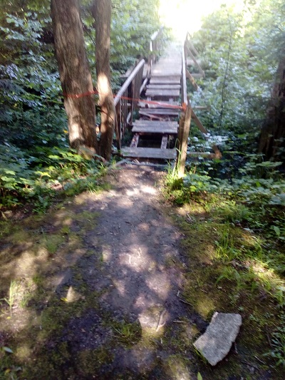 IMG_20200625_100038 — копия.jpg